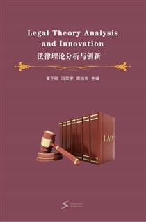 法律理论分析与创新