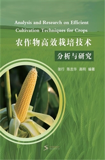 农作物高效栽培技术分析与研究